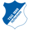 Logo: TSG 1899 Hoffenheim